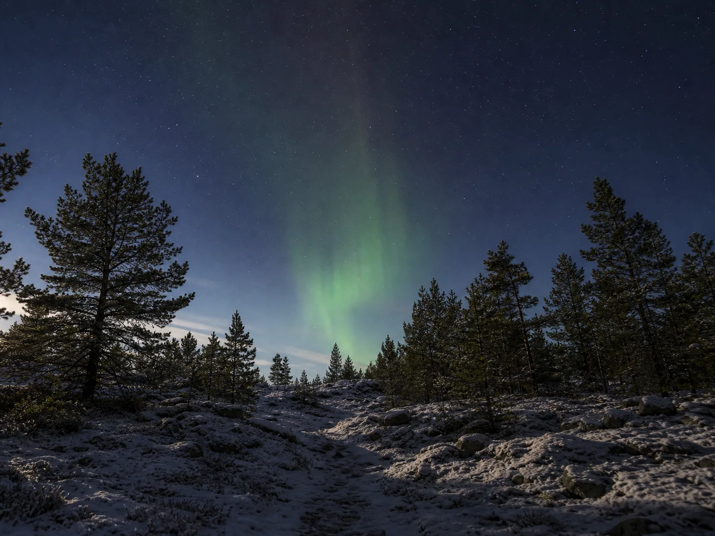 An AI-created boreal forest clearing with a subtle green aurora above the northern horizon
